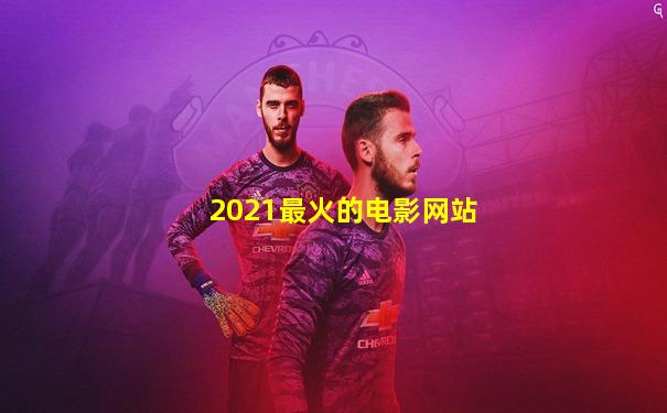 2021最火的电影网站