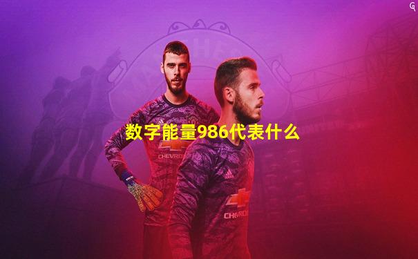 数字能量986代表什么