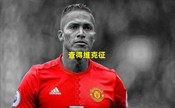 查得维克征